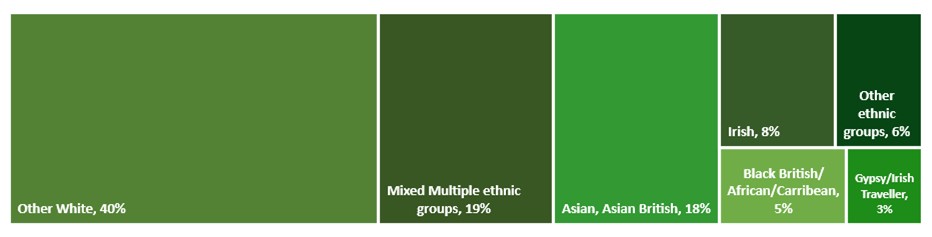 Diversity chart